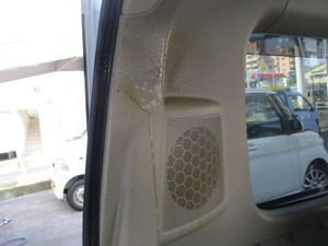 img_20200923-200705.jpg