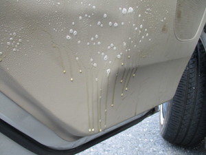 img_20200923-200737.jpg