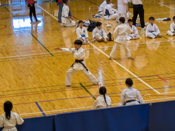 img_20250519-125351.jpg