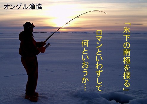 img_20170413-112354.jpg