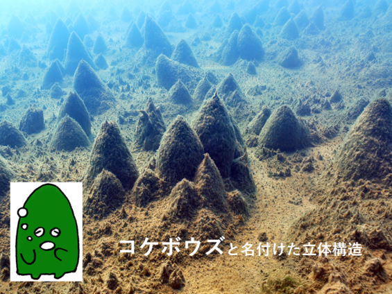 img_20210930-052213.png
