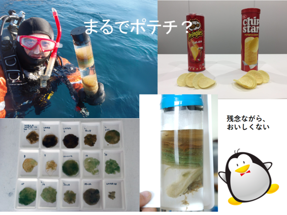 img_20210930-052302.png