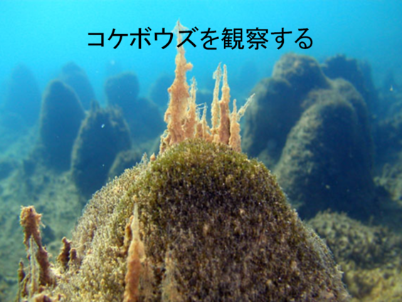 img_20210930-052324.png