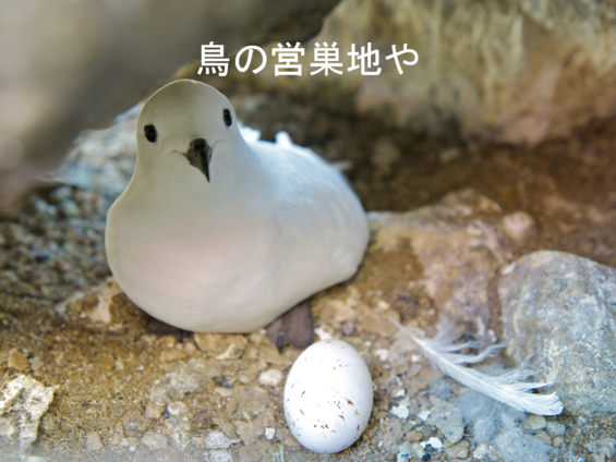 img_20210930-052630.png