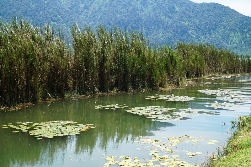 ブラタン湖岸 Pura Ulun Danu Bratan ブラタン湖岸 Pura Ulun Danu Bratan