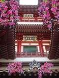 新加坡佛牙寺龍牙院 新加坡佛牙寺龍牙院