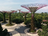 ガーテーン・バイ・ザ・ベイ スーパーツリー ガーテーン・バイ・ザ・ベイ スーパーツリー