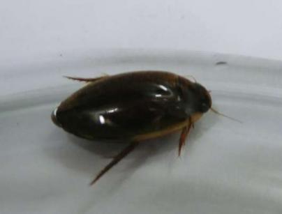 img_20130116-155754.jpg