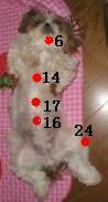 img_20130423-114659.jpg