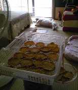 img_20130522-084452.jpg