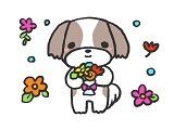 アニマルコミュニケーション講座