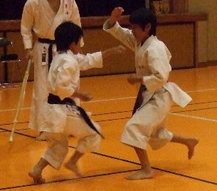 img_20230822-001239.jpg