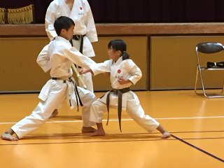 img_20230822-013818.jpg