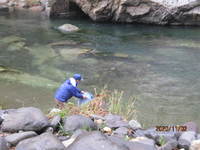 img_20201102-091204.jpg