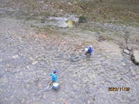 img_20201102-091302.jpg