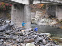 img_20201117-033115.jpg