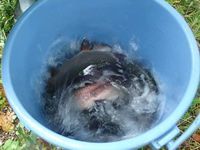 img_20201121-011712.jpg