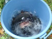 img_20201218-075129.jpg