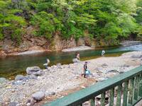 img_20210506-033043.jpg