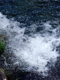 img_20210529-120850.jpg