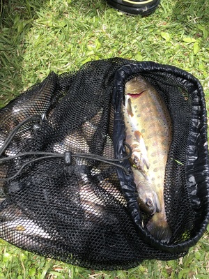 img_20220503-081023.jpg