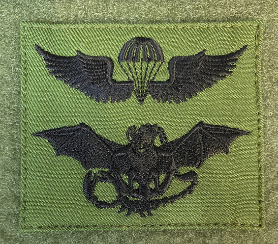 陸上自衛隊　4段徽章