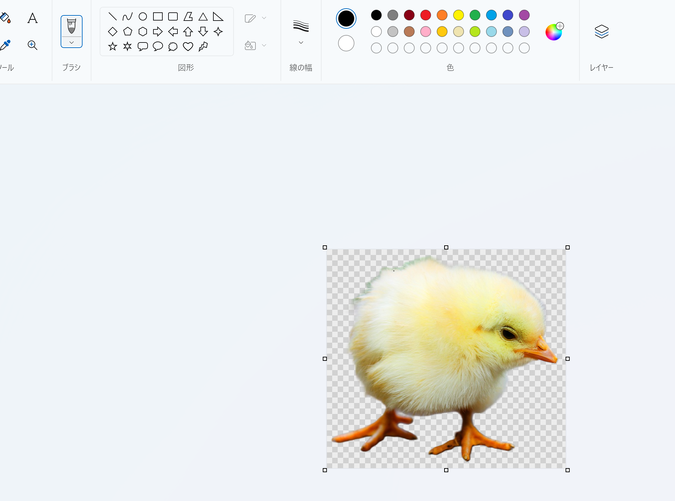 img_20231121-135624.png