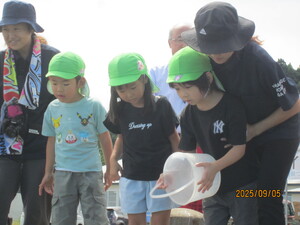 img_20250912-175056.jpg