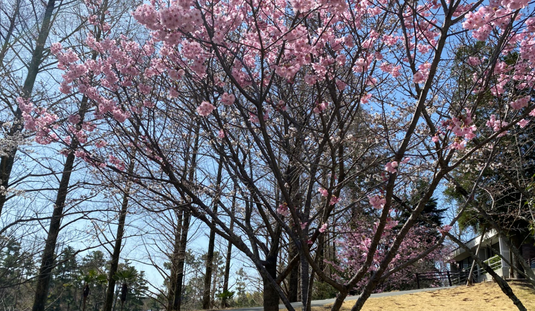 img_20210415-212306.png