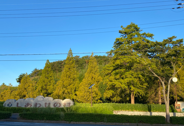 img_20211019-011729.png