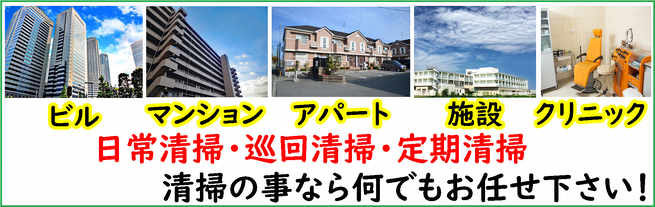 img_20241102-190420.jpg