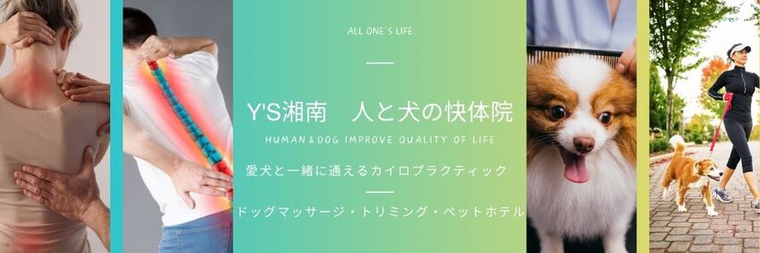 人と犬の快体院 Y's湘南 human＆dog Improve Quality Of Life 愛犬同伴