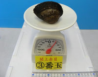 閖上産　赤貝バラ売り　３番玉〔約180ｇ〕  本玉1個