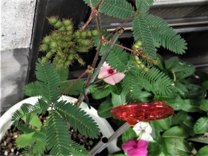 img_20181026-215505.jpg