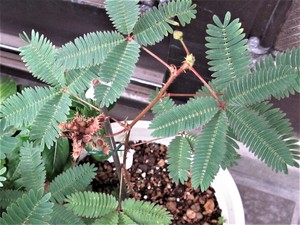 img_20181026-215526.jpg