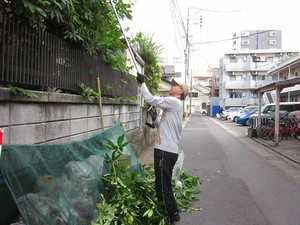 img_20190729-001542.jpg
