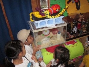 img_20191127-223533.jpg