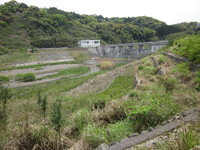 img_20200428-015500.jpg
