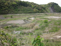 img_20200428-015520.jpg