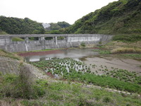 img_20200428-015542.jpg