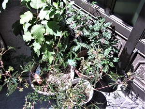 img_20200829-224104.jpg