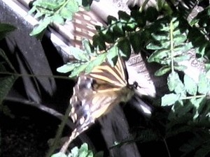img_20200829-224530.jpg