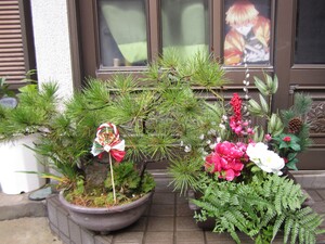 img_20201230-004310.jpg