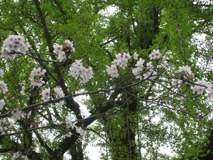 img_20210330-035828.jpg