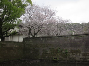 img_20210330-035855.jpg
