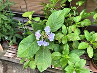 img_20210527-201531.jpg