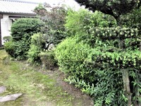 img_20210530-204433.jpg