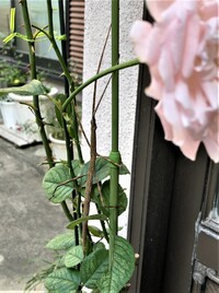 img_20211126-215609.jpg