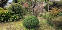 img_20220327-225134.jpg