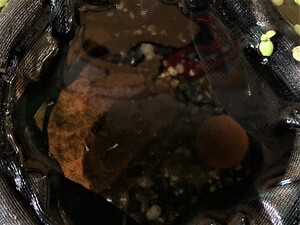img_20220426-204619.jpg